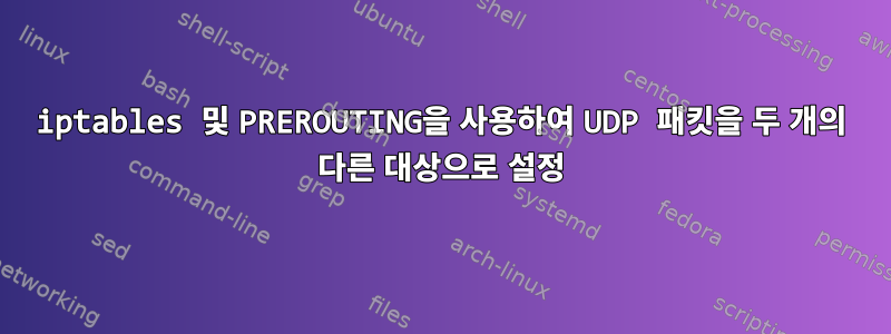 iptables 및 PREROUTING을 사용하여 UDP 패킷을 두 개의 다른 대상으로 설정