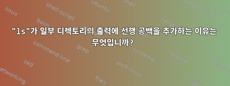 "ls"가 일부 디렉토리의 출력에 선행 공백을 추가하는 이유는 무엇입니까?