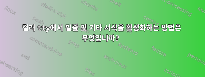 컬러 tty에서 밑줄 및 기타 서식을 활성화하는 방법은 무엇입니까?