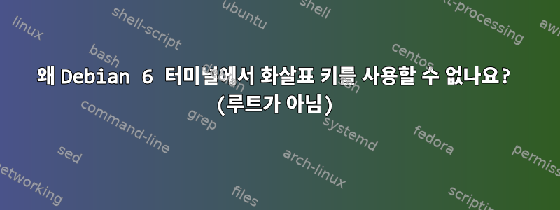 왜 Debian 6 터미널에서 화살표 키를 사용할 수 없나요? (루트가 아님)