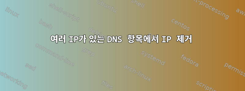 여러 IP가 있는 DNS 항목에서 IP 제거