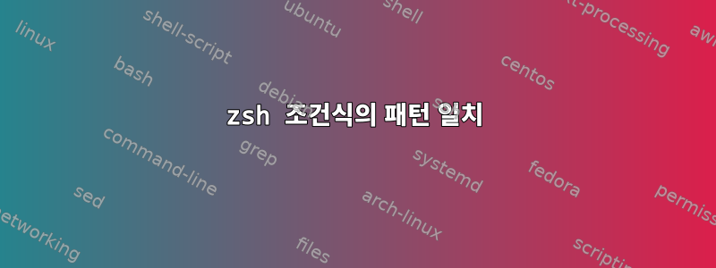 zsh 조건식의 패턴 일치