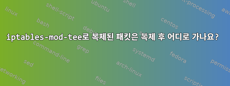 iptables-mod-tee로 복제된 패킷은 복제 후 어디로 가나요?