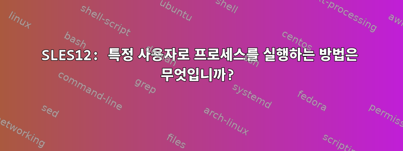 SLES12: 특정 사용자로 프로세스를 실행하는 방법은 무엇입니까?