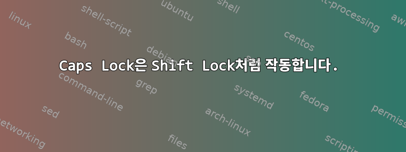 Caps Lock은 Shift Lock처럼 작동합니다.