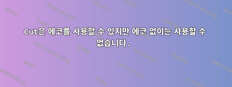 Cut은 에코를 사용할 수 있지만 에코 없이는 사용할 수 없습니다.