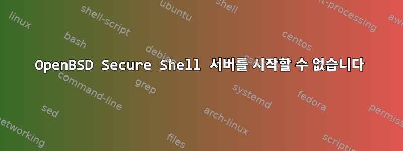 OpenBSD Secure Shell 서버를 시작할 수 없습니다