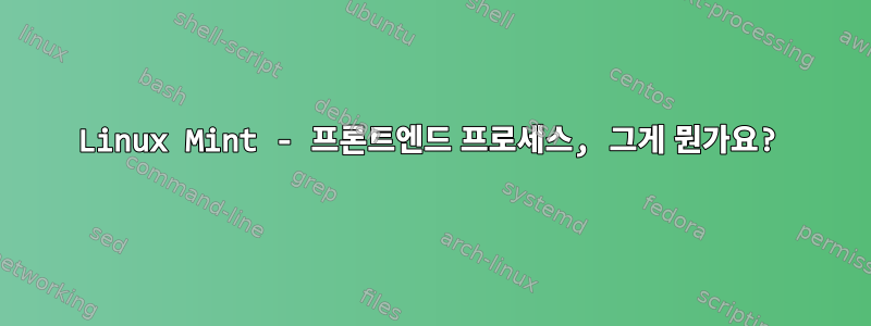 Linux Mint - 프론트엔드 프로세스, 그게 뭔가요?