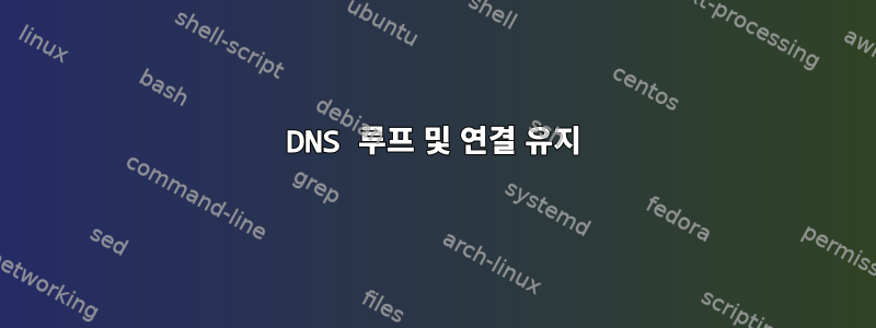 DNS 루프 및 연결 유지