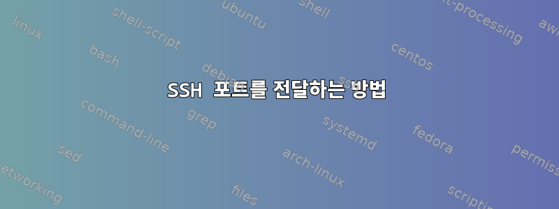 SSH 포트를 전달하는 방법