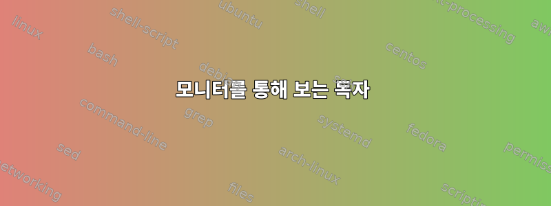 모니터를 통해 보는 독자