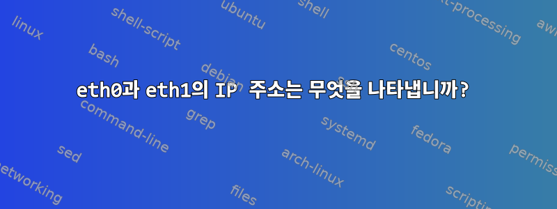 eth0과 eth1의 IP 주소는 무엇을 나타냅니까?