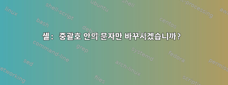 셸: 중괄호 안의 문자만 바꾸시겠습니까?