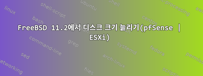 FreeBSD 11.2에서 디스크 크기 늘리기(pfSense | ESXi)