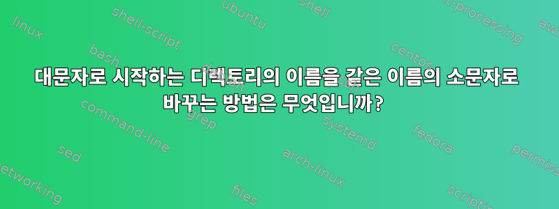 대문자로 시작하는 디렉토리의 이름을 같은 이름의 소문자로 바꾸는 방법은 무엇입니까?