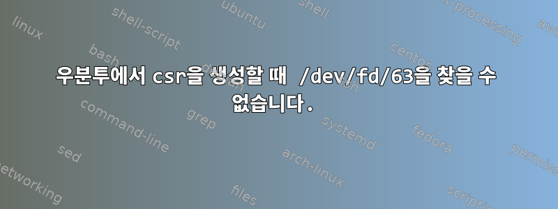 우분투에서 csr을 생성할 때 /dev/fd/63을 찾을 수 없습니다.