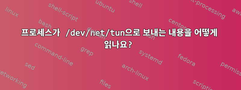 프로세스가 /dev/net/tun으로 보내는 내용을 어떻게 읽나요?