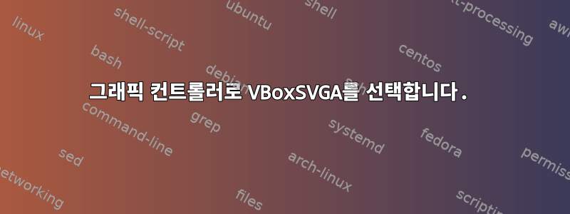 그래픽 컨트롤러로 VBoxSVGA를 선택합니다.