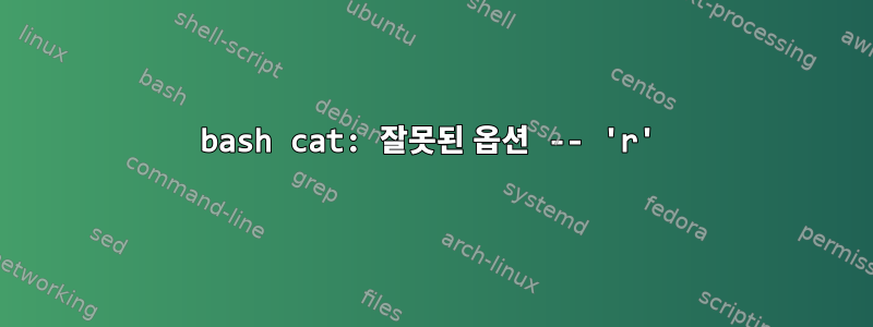 bash cat: 잘못된 옵션 -- 'r'