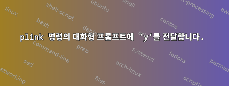 plink 명령의 대화형 프롬프트에 'y'를 전달합니다.