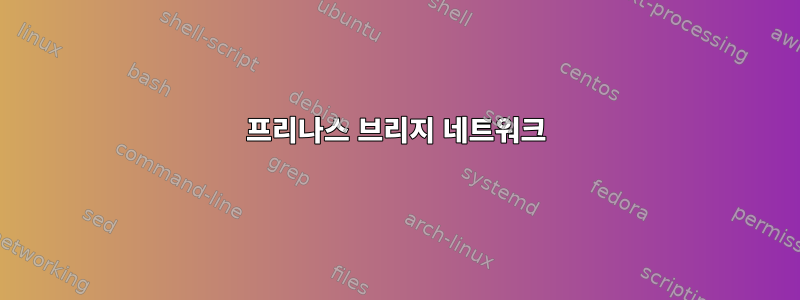 프리나스 브리지 네트워크