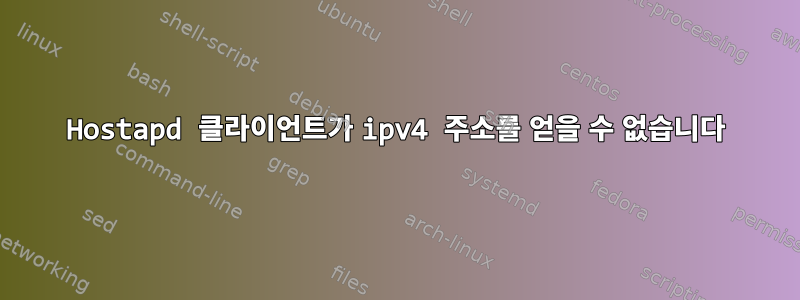 Hostapd 클라이언트가 ipv4 주소를 얻을 수 없습니다