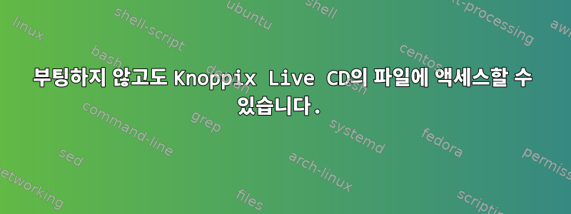 부팅하지 않고도 Knoppix Live CD의 파일에 액세스할 수 있습니다.