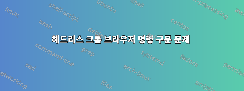 헤드리스 크롬 브라우저 명령 구문 문제