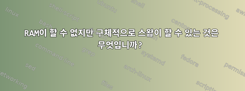 RAM이 할 수 없지만 구체적으로 스왑이 할 수 있는 것은 무엇입니까?