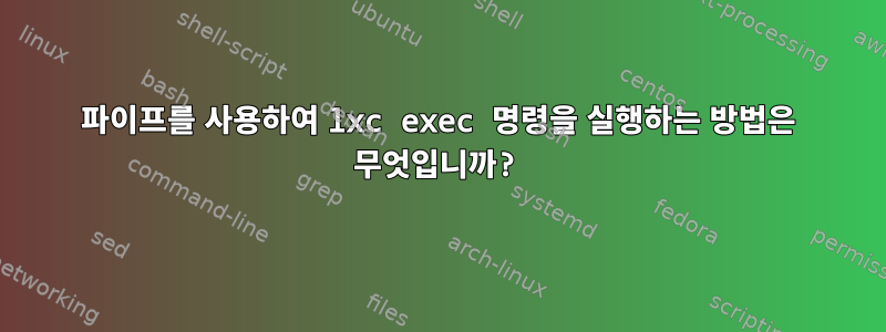 파이프를 사용하여 lxc exec 명령을 실행하는 방법은 무엇입니까?