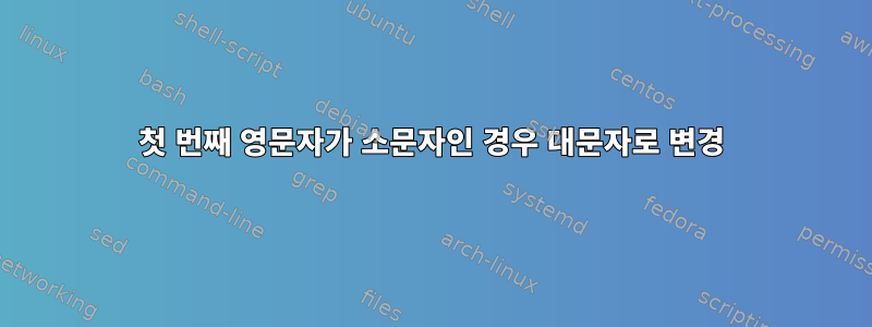 첫 번째 영문자가 소문자인 경우 대문자로 변경