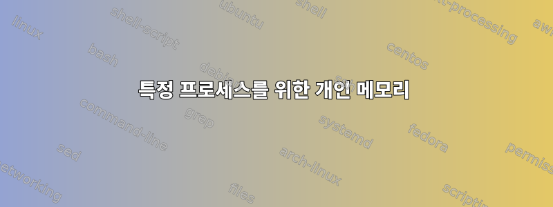 특정 프로세스를 위한 개인 메모리