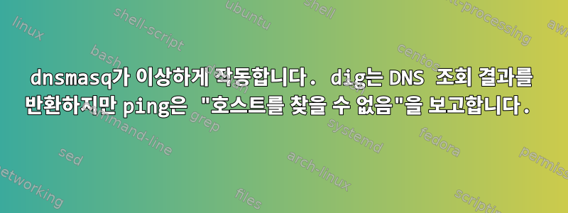 dnsmasq가 이상하게 작동합니다. dig는 DNS 조회 결과를 반환하지만 ping은 "호스트를 찾을 수 없음"을 보고합니다.