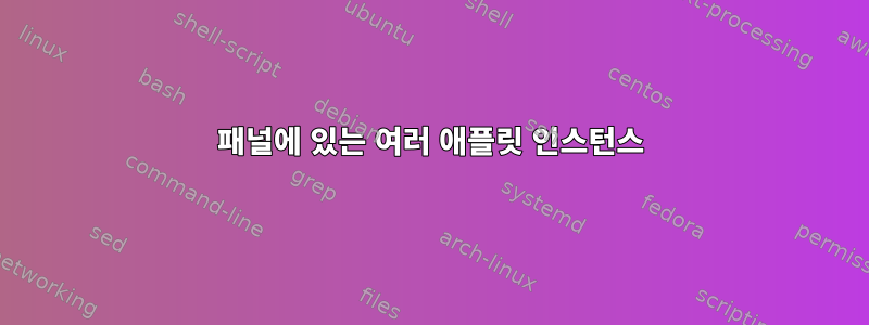 패널에 있는 여러 애플릿 인스턴스