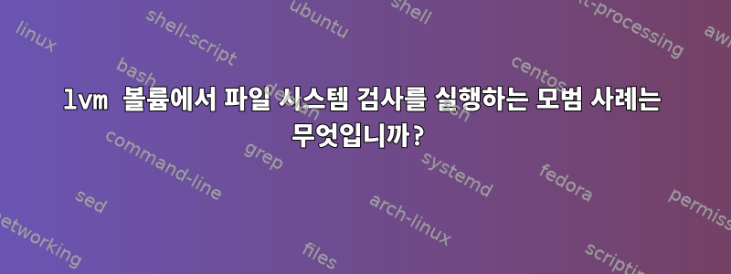 lvm 볼륨에서 파일 시스템 검사를 실행하는 모범 사례는 무엇입니까?