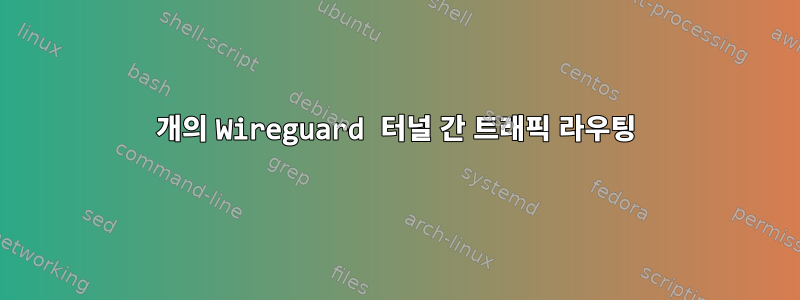 2개의 Wireguard 터널 간 트래픽 라우팅