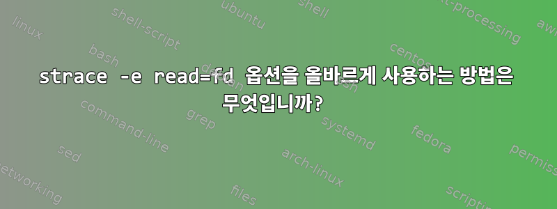 strace -e read=fd 옵션을 올바르게 사용하는 방법은 무엇입니까?