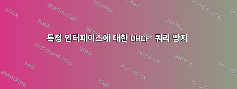 특정 인터페이스에 대한 DHCP 쿼리 방지