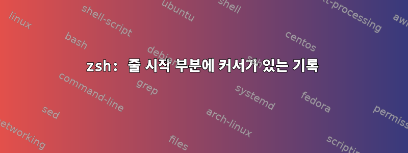 zsh: 줄 시작 부분에 커서가 있는 기록