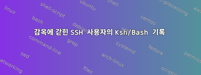 감옥에 갇힌 SSH 사용자의 Ksh/Bash 기록