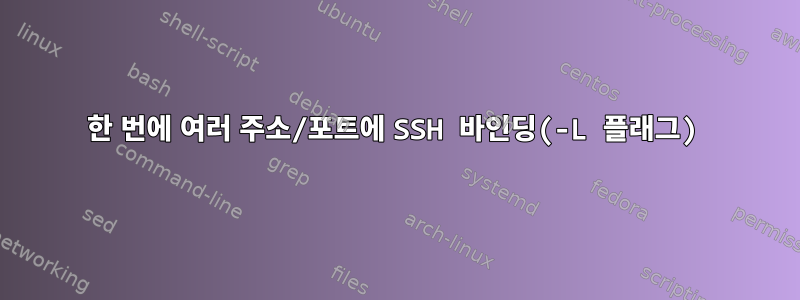 한 번에 여러 주소/포트에 SSH 바인딩(-L 플래그)