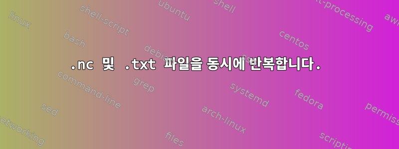 .nc 및 .txt 파일을 동시에 반복합니다.