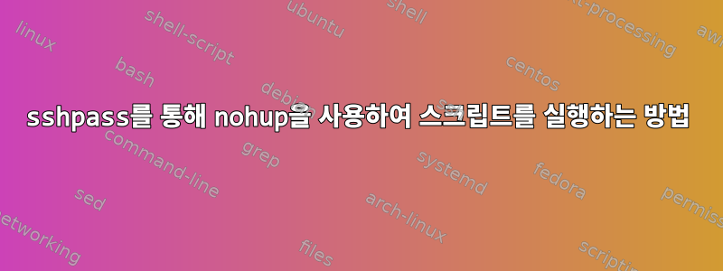 sshpass를 통해 nohup을 사용하여 스크립트를 실행하는 방법