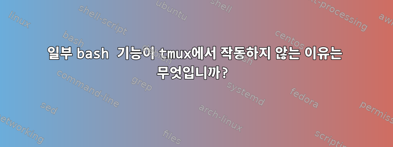 일부 bash 기능이 tmux에서 작동하지 않는 이유는 무엇입니까?