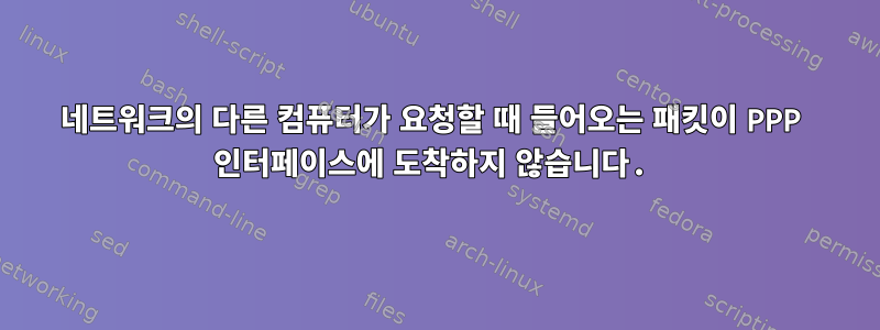 네트워크의 다른 컴퓨터가 요청할 때 들어오는 패킷이 PPP 인터페이스에 도착하지 않습니다.