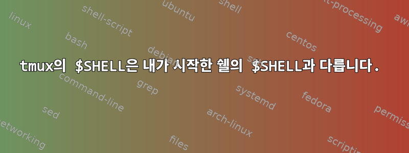 tmux의 $SHELL은 내가 시작한 쉘의 $SHELL과 다릅니다.