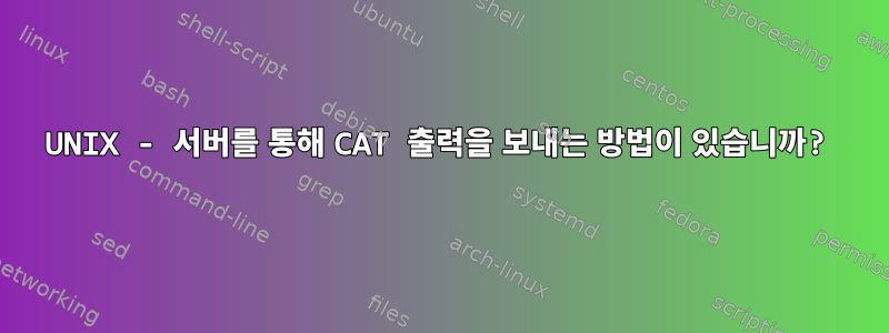 UNIX - 서버를 통해 CAT 출력을 보내는 방법이 있습니까?