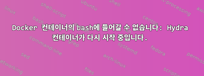 Docker 컨테이너의 bash에 들어갈 수 없습니다: Hydra 컨테이너가 다시 시작 중입니다.