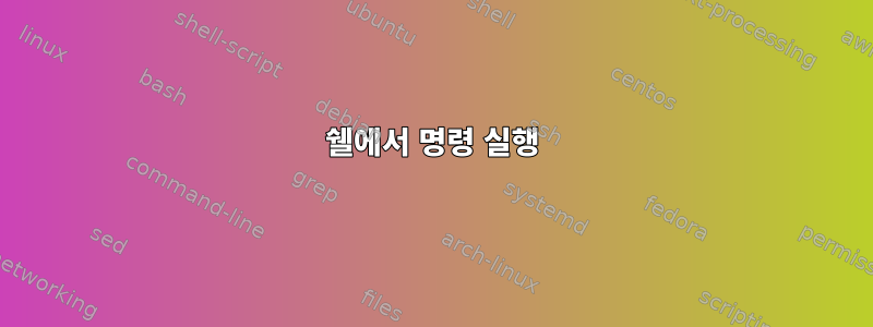 쉘에서 명령 실행