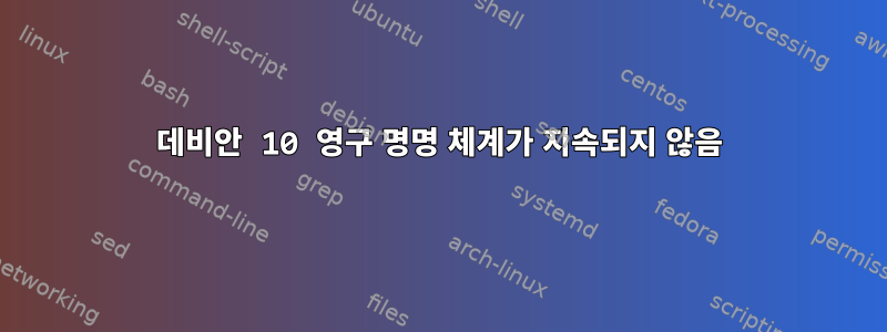 데비안 10 영구 명명 체계가 지속되지 않음